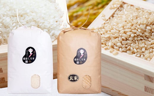 備前乙女米 白米 10kg×1袋・玄米 10kg×1袋（計約20kg）【2026年9月下旬迄発送予定】 ／ 2種類 お米 米 おこめ こめ コメ ご飯 ライス 精米 モチモチ 石原果樹園 岡山県 美咲