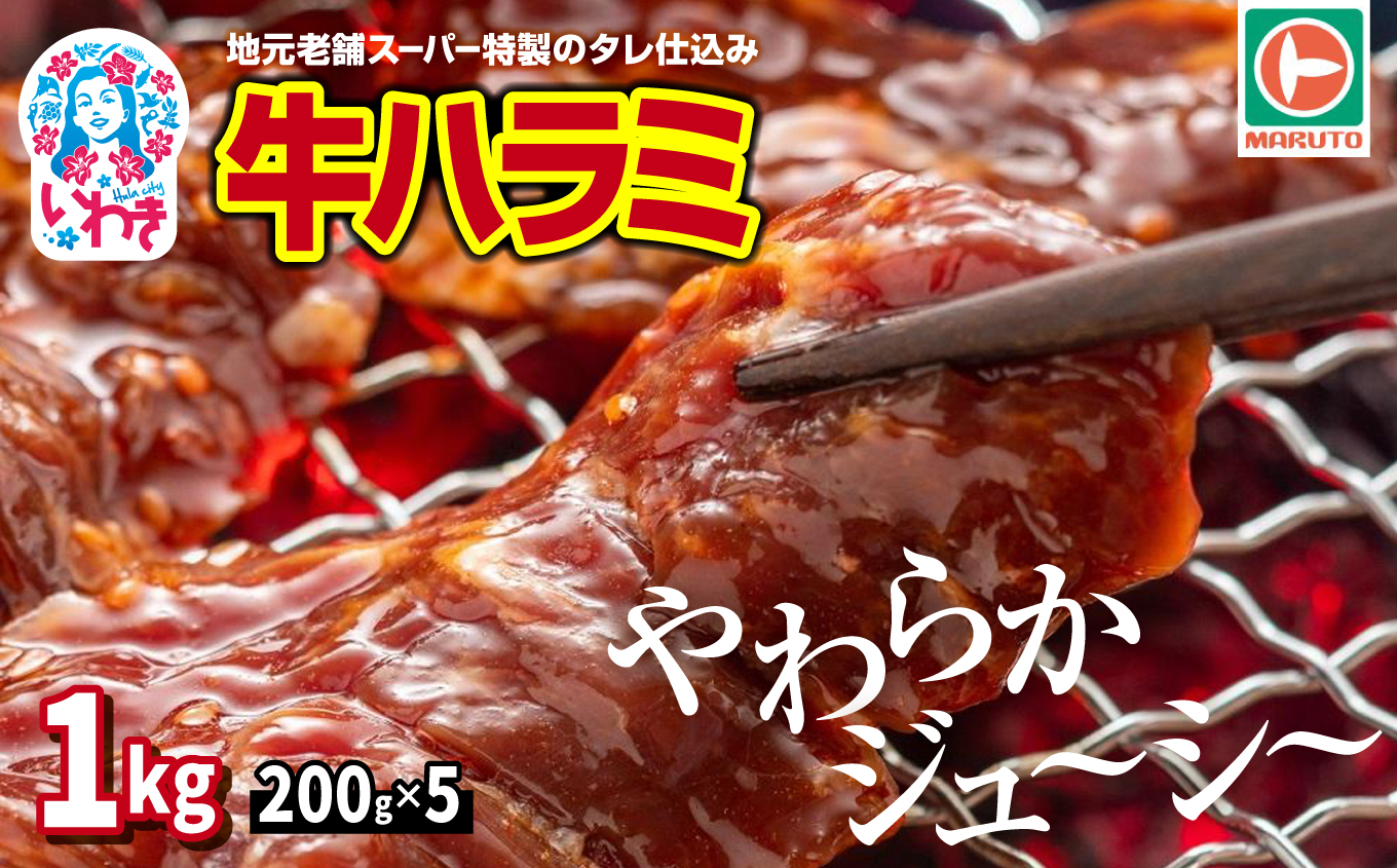 味付き牛ハラミ　1kg(200g×5) | 特製タレ 焼くだけ 手作業で加工 焼肉 お取り寄せ バーベキュー ふるさと納税はらみ ふるさと納税ハラミ 柔らかい やわらかい 父の日 | EQ033-1000g