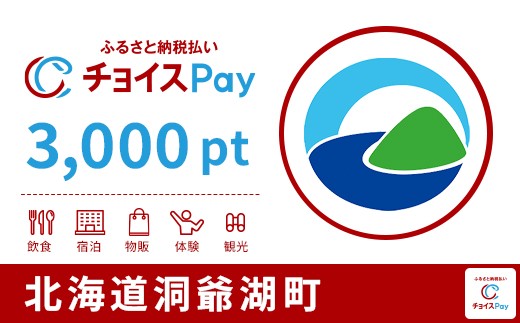 
                  洞爺湖町チョイスPay 3,000pt【会員限定のお礼の品】
                