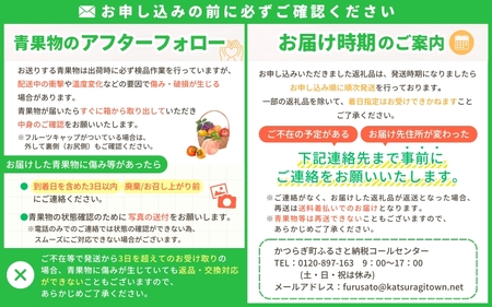 【旨すぎる】こだわり絶品高原とまと【フルーツトマト約２kg】【2025年7月中旬～10月下旬発送】【A010-frks006】