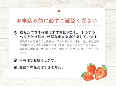 冷凍いちご1.5kg(500g×3袋) 山形県産 冷凍便 ※離島発送不可 冷凍 冷凍フルーツ いちご イチゴ 苺 サマーティアラ フルーツ ジャム ジュース スムージー 小分け お菓子作り ゆざ食彩工