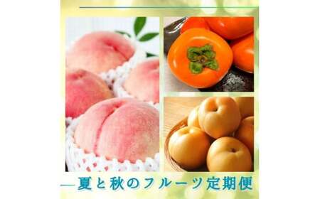 定期便 【全3回】夏と秋のフルーツ定期便  桃 梨 ひらたねなし柿) 【tkb372】