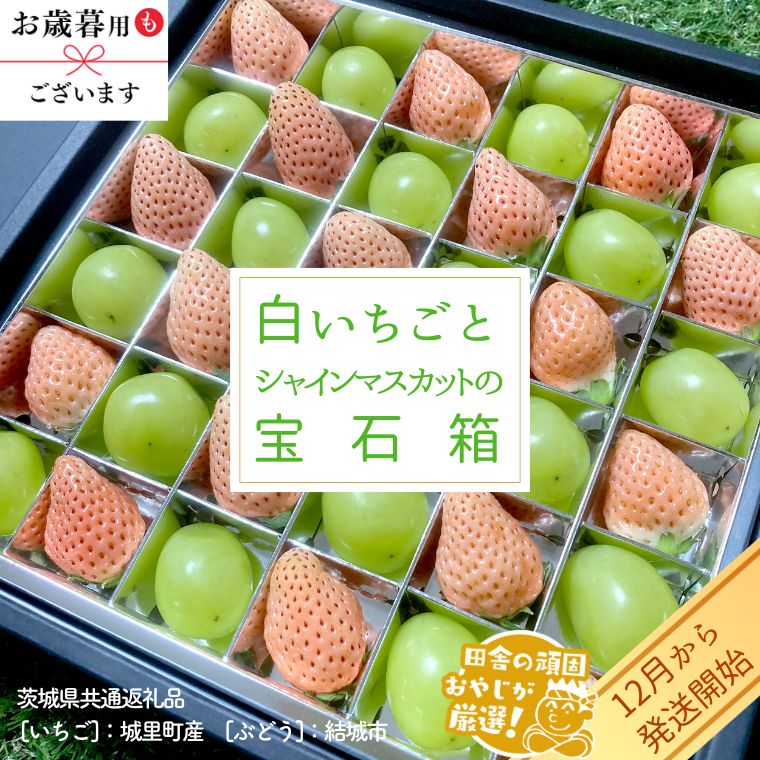 【ふるさと納税】 白いちご と シャインマスカット の 宝石箱 【12月から発送開始】 選べる内容量 18粒 or 36粒（茨城県共通返礼品 [いちご]：城里町産　[ぶどう]：結城市） 果物 フルーツ いちご イチゴ 白苺 ぶどう マスカット ギフト プレゼント