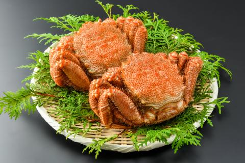 【数量限定】＜網走前浜産＞【流氷明けの堅ガニ厳選！】活〆浜茹で毛がに 【2尾　計1.0kg】 ABAI008
