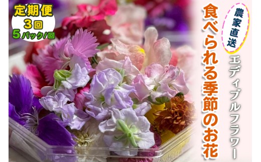 [定期便3回] 農家直送！加藤さんちのエディブルフラワー 5パック (1パックあたり季節のお花15輪から30輪)｜食用 花 お花 野菜 トッピング 付け合わせ [0771]