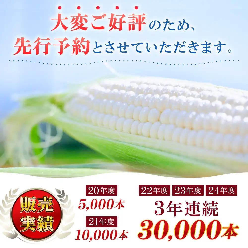 【先行予約】 白いとうもろこし 5本 ホワイトショコラ とうもろこし  [BDAX001]