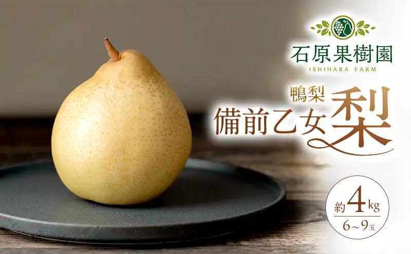 梨 フルーツ 備前乙女梨 鴨梨 岡山県産 梨【6～9玉 約4kg】【先行予約】