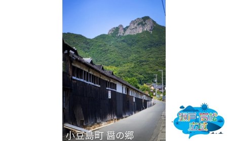 【 小豆島 】「瀬戸・たかまつネットワーク」貸切クルーザーで巡る香川県（小豆島・男木島方面）2日間 チケット ペア 旅行券 観光 