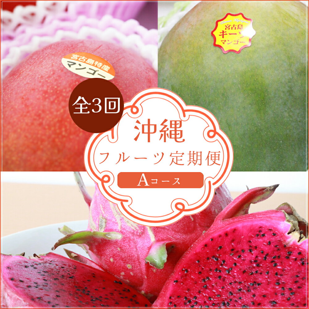 【3回定期便　Aコース】フルーツ定期便/マンゴー・キーツ・ドラゴン赤＜琉球マルシェ＞沖縄県宮古島（AR235）