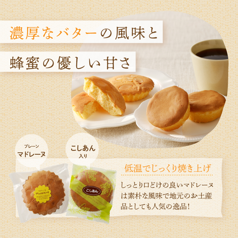 【2週間以内発送】老舗菓子舗のマドレーヌ2種セット「合計6個・個包装」_T035-020【焼き菓子 スイーツ 詰め合わせ 洋菓子人気 ギフト 食品 贈り物 お土産 デザート 加工品 送料無料 プレゼン