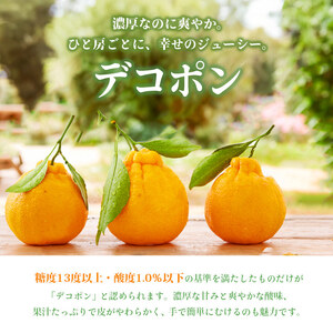 予約 デコポン 3kg 配送：2026年3月中旬～