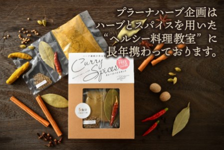 ハーブ講師が作る教室で人気のカレースパイスセット （5食分 × 4箱）【アレルゲンフリー】 【スパイス スパイスカレー スパイスセット カレーパウダー おうちカレー カレー粉 香辛料 セット 手作り 
