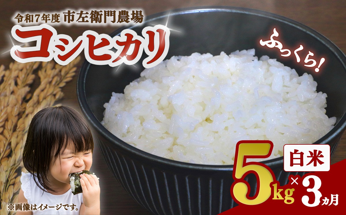 
                  【 3ヵ月 定期便 】令和7年産 コシヒカリ 5kg │ 米 こめ こしひかり ご飯 白米 精米 5キロ 2025年産 茨城県産 茨城県 つくば市
                