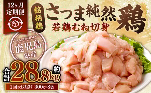 HS-902 【12回定期便】鹿児島県産 銘柄鶏・さつま純然鶏 若鶏 むね切身（300g×8パック×12回 合計28.8kg）むね肉 若どり