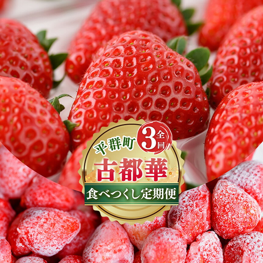 【ふるさと納税】【 定期便 3回 】 濃紅 の 宝石 へぐり の 古都華 食べつくし | ブランド 苺 ご褒美 高糖度 甘い イチゴ いちご ストロベリー 古都華 ことか ルビー色 果物 くだもの フルーツ フレッシュ 新規 農家 応援 支援 旬の品種 奈良県 平群町 旬 産地 直送