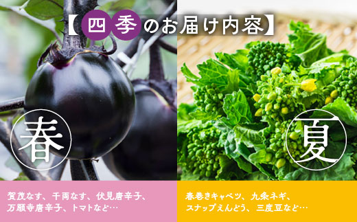 【12回定期便】旬の京野菜 毎月お届けスペシャルコース（全12回）＆『葉酸たまご』10個入り×1パック×3回分付き《野菜定期便 野菜詰め合わせ 野菜セット 京野菜 旬の野菜 新鮮野菜 有機野菜 減農薬