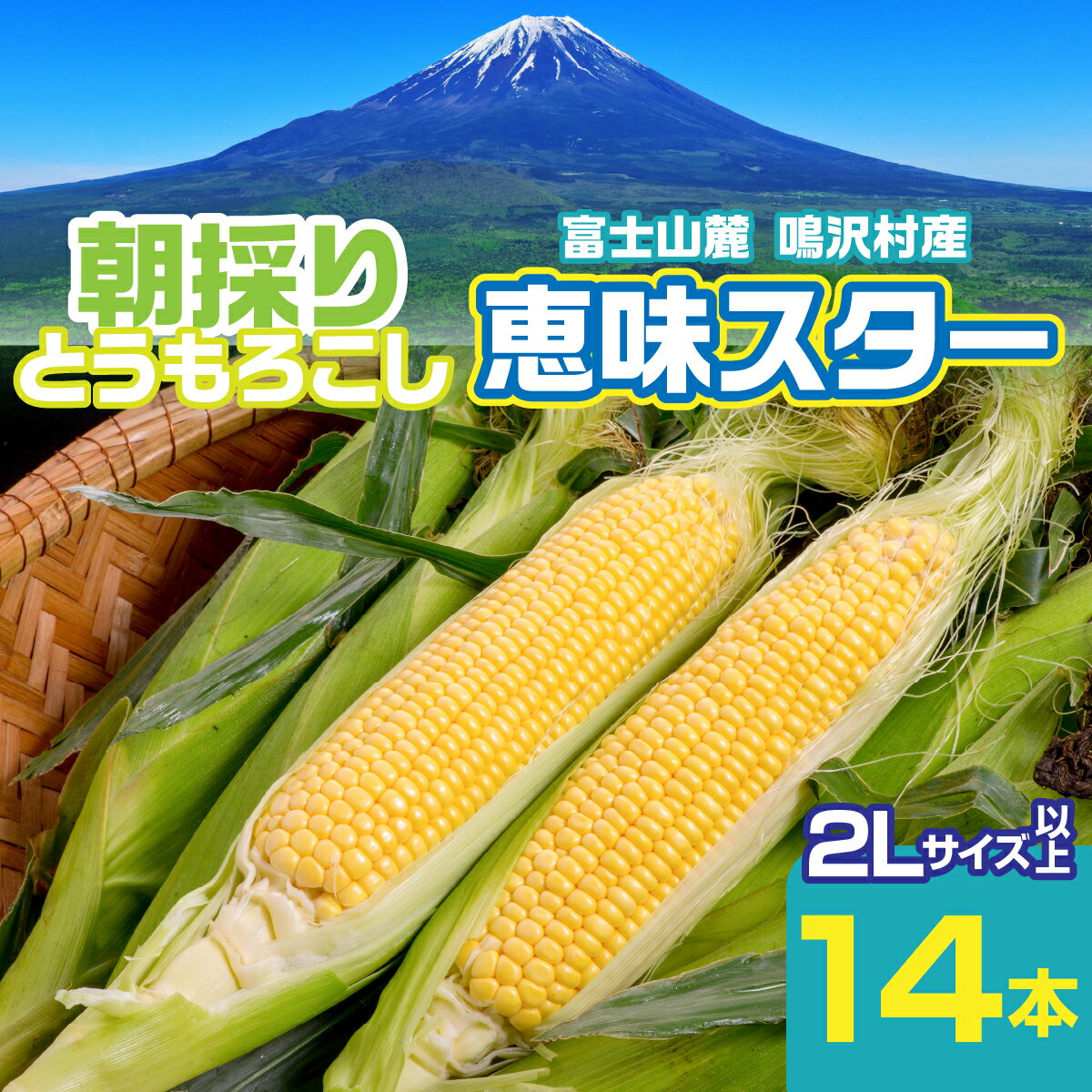 【ふるさと納税】【2026年8月～発送】富士山麓 鳴沢村産 朝採り とうもろこし【恵味スタ－】5kg ふるさと納税 とうもろこし トウモロコシ コーン 野菜 山梨県 鳴沢村 送料無料 NSH004