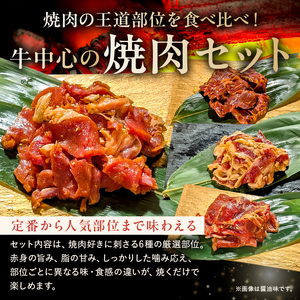 焼肉セット6種（醤油）【195013】 味付け 醤油 簡単 1.2kg BBQ バーベキュー 牛モモ 牛カルビ 牛ウデ 牛肩ロース 牛さがり 鶏もも 小分け 冷凍保存