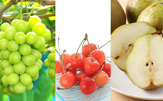 【令和8年産先行予約】 《定期便3回》 食べきりサイズの く