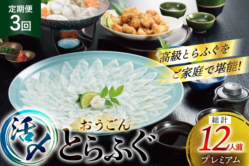 
                  ふぐ 刺身 ふぐ鍋セット 活〆 おうごんとらふぐ プレミアム セット 4人前 3回 定期便 [松永水産 長崎県 平戸市 hr42bvj550019] ふぐ刺し とらふぐ フグ 河豚 てっさ てっちり ふぐ鍋 湯引き 魚介 さかな お刺身 刺身用 さしみ 冷凍 海鮮
                