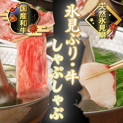 ふるさと納税 氷見市 氷見産天然ぶり・氷見牛で氷見しゃぶしゃぶセット