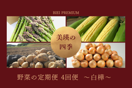 野菜セット 4回 定期便  旬な野菜 新鮮 白樺 美瑛の四季【令和8年産予約受付】 