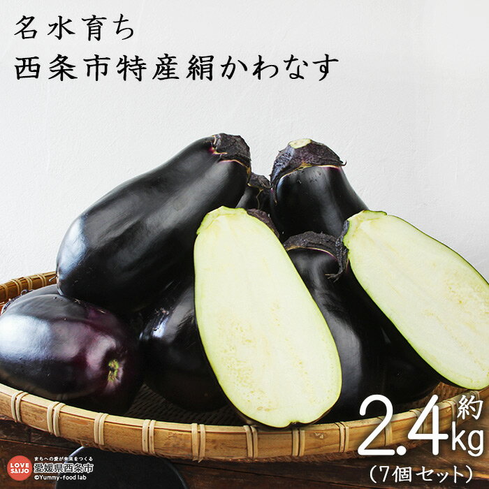 【ふるさと納税】予約受付＜名水育ち 西条市特産 絹かわなす 約2.4kg（7個セット）＞※2025年7月中旬～9月末迄に順次出荷します。茄子 ナス なすび きぬかわなす 野菜 やさい 新鮮 浅漬け 煮浸し 特産品 産地直送 愛媛県 西条市【常温】