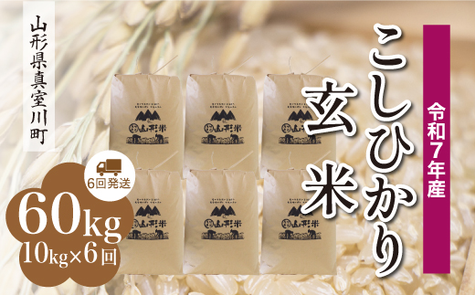 ＜令和7年産米＞ こしひかり 【玄米】 60kg定期便 （10kg×6回発送）＜配送時期指定可＞　山形県真室川町
