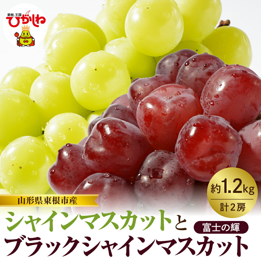 【ふるさと納税】 2026年産 先行予約 シャインマスカット と ブラックシャインマスカット 富士の輝 詰め合わせ 約 1.2kg ぶどう マスカット フルーツ 果物 くだもの お取り寄せ グルメ ご当地 特産 産地 直送 送料無料 山形 東根市