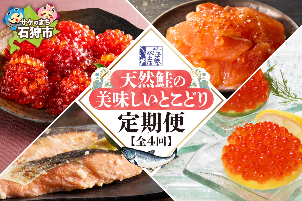 【定期便4回】佐藤水産 天然鮭の美味しいとこどり定期便