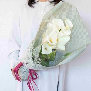 【 先行予約 】 カラー 花束 М サイズ  | 白い カラー  シンプル 結婚式 ブーケ 装飾 贈り物 贈答 ギフト 自宅 オフィス インテリア オススメ 千葉県 君津市 きみつ