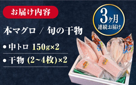 【全3回定期便】対馬産 養殖 本マグロ 2種 &amp; 地魚 干物 2種 セット ( 赤身 / 中トロ / 干物 )《対馬市》【対海】 新鮮 マグロ 鮪 本鮪 トロ 海鮮 冷凍 浜干し[WAH009