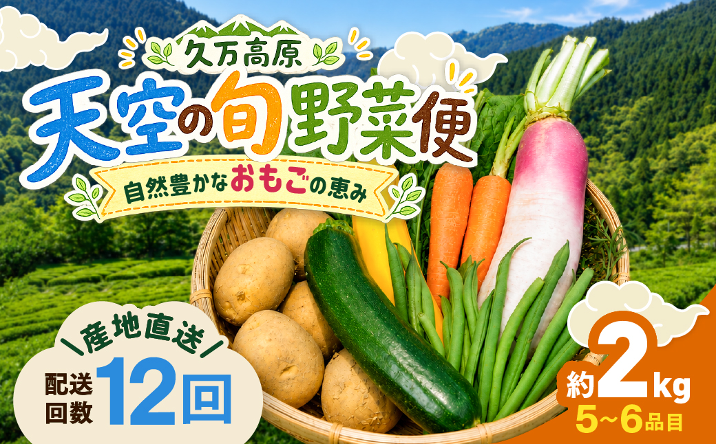 【定期便12回】久万高原 天空の旬野菜便2kg【面河特産品開発センター厳選】｜野菜詰め合わせ 5〜6品目 新鮮野菜 定期便 愛媛県産 産地直送