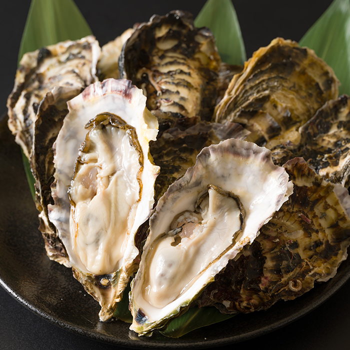 殻付き牡蠣（生食用）冷凍 2kg 生牡蠣 宮城県産 牡蛎 牡蠣 カキ かき 生食 オイスター カキフライ 牡蠣鍋 海鮮 国産 魚貝類 バーベキュー BBQ 【カタクチ商店株式会社】sh183