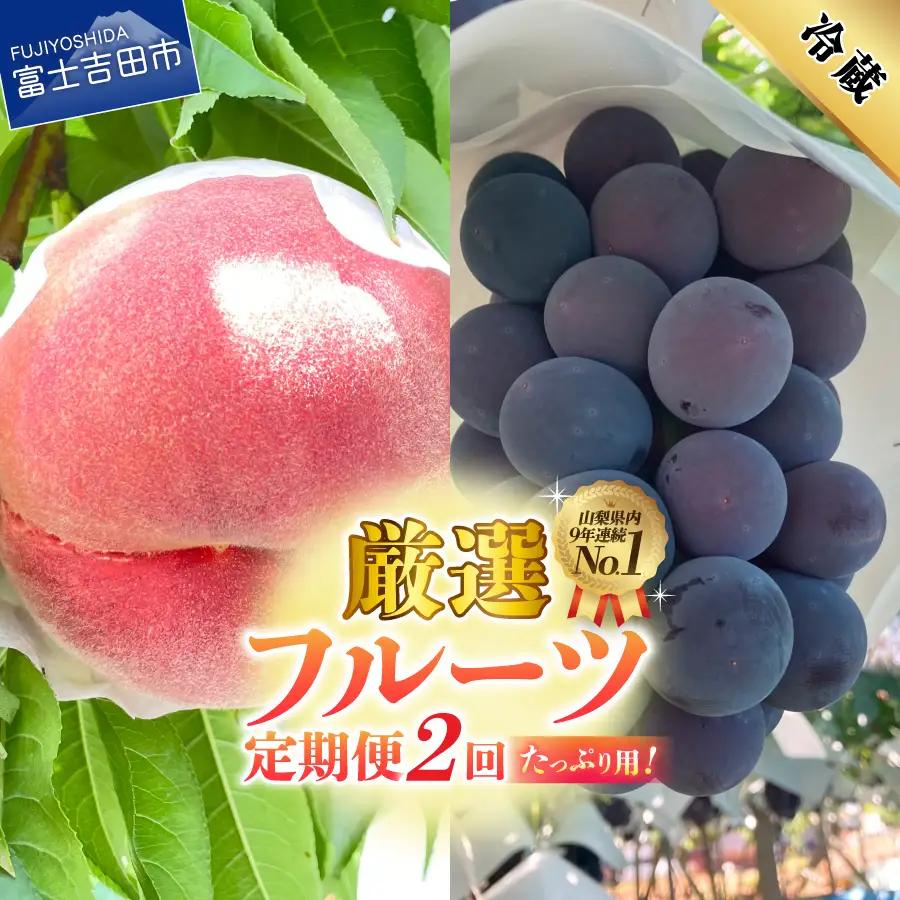 2回 厳選旬のフルーツ定期便（桃2kg・黒ぶどう1kg以上）【2026年発送】定期便