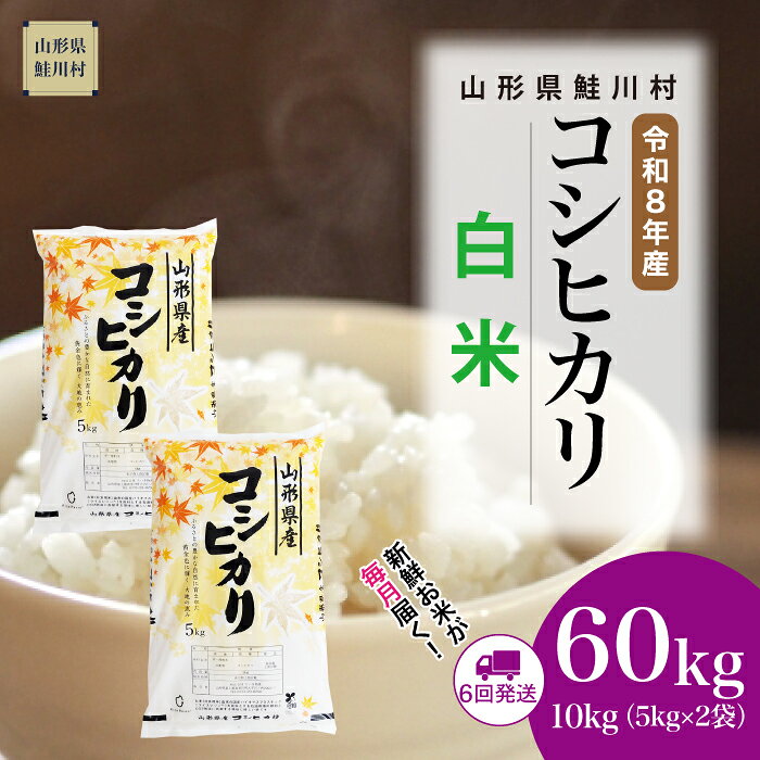 【ふるさと納税】＜令和8年産米＞ 鮭川村 コシヒカリ 【白米】60kg （10kg×1ヶ月間隔で6回お届け）＜配送時期選べます＞