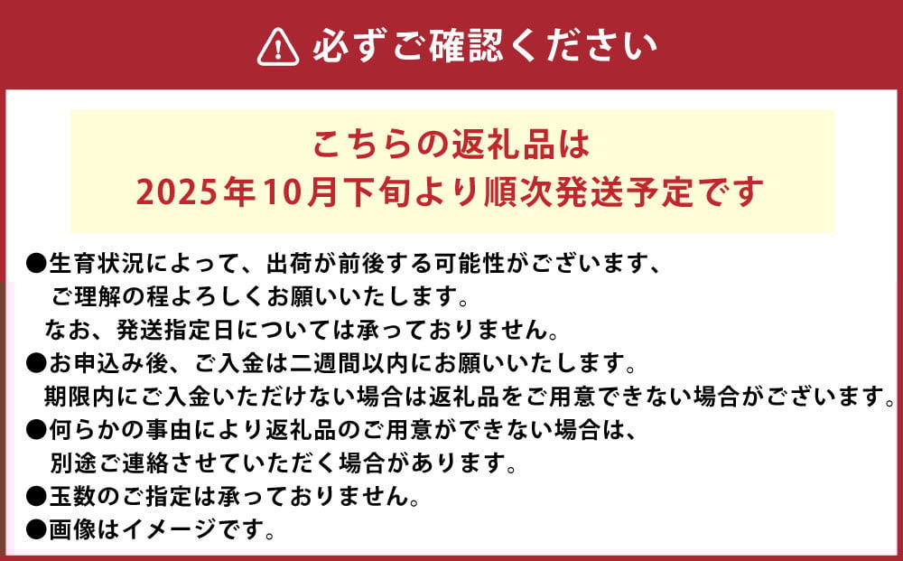 大玉 アールスメロン 4L （2kg以上） 2個入り