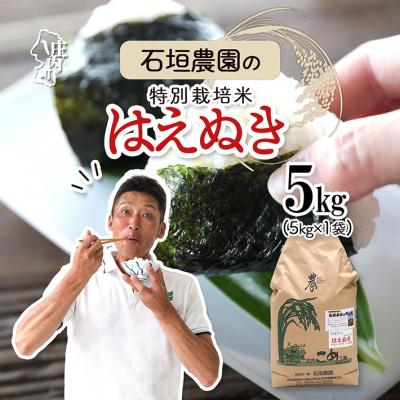 ふるさと納税 庄内町 石垣農園の特別栽培米 はえぬき 5kg 令和7年産 2025年産 ブランド米