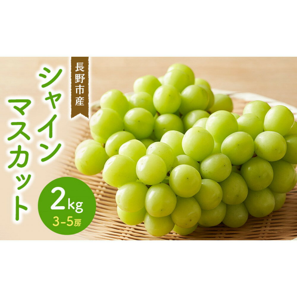 【ふるさと納税】シャインマスカット2kg　3-5房 | シャインマスカット ぶどう フルーツ 果物 国産 人気 おすすめ ギフト プレゼント 送料無料 長野県 長野市 信州 信濃 ふるさと納税
