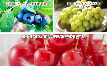 【定期便3回】やまがた　仲夏フルーツ定期便 【令和8年産先行予約】FS25-701 くだもの 果物 フルーツ 山形 山形県 山形市 2026年産