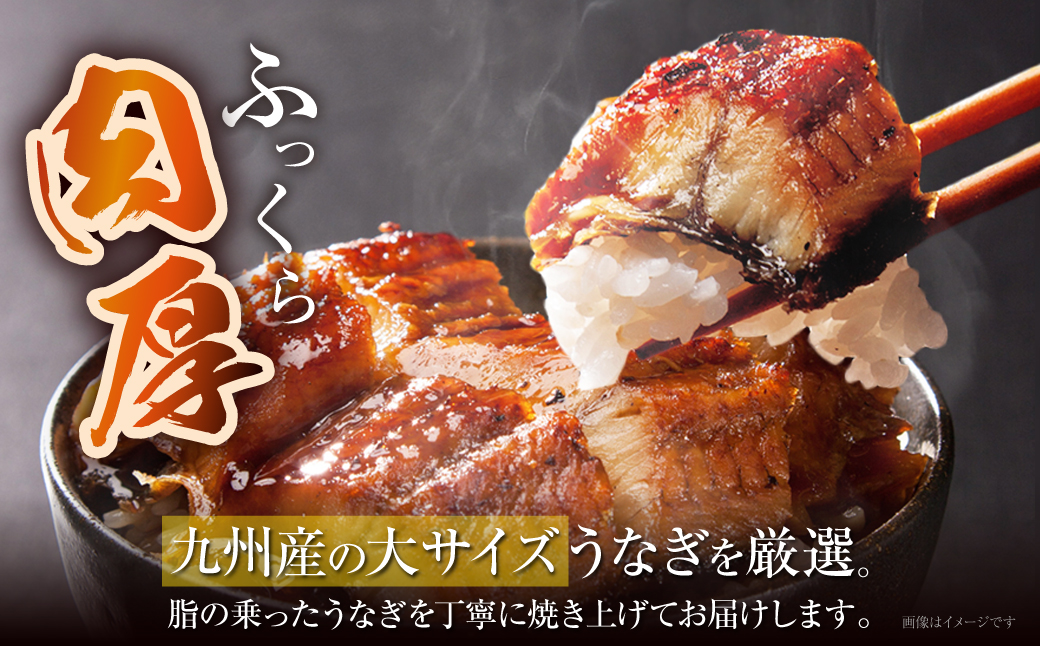 累計販売数229,673件突破  国産うなぎ蒲焼大サイズ4尾（計670g以上）鰻蒲焼用タレ・山椒付 うなぎ生産量日本一鹿児島県産・宮崎県産・熊本県産
