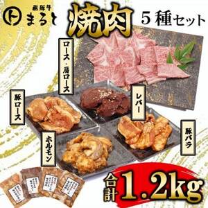 【飛騨牛】焼肉5種セットA-5　ロース・肩ロースと味付けホルモンなど　合計1.2kg【配送不可地域：離島】【1619901】