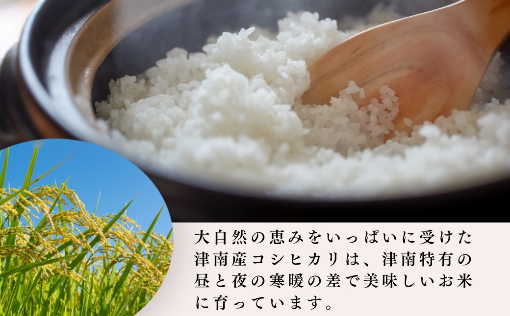 【令和8年産】 魚沼産コシヒカリ特別栽培米 「雪美人」10kg 129400-005