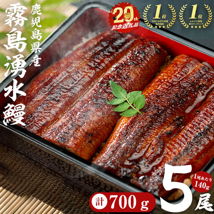 うなぎ生産量日本一の鹿児島県！山田水産の霧島湧水鰻 160g以上×5尾＜計800g以上＞