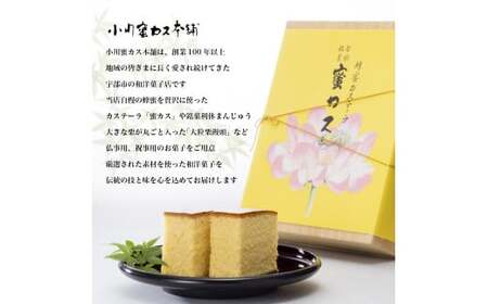 懐中しるこ 2種 8個入り｜おしるこ おしるこ おしるこ おしるこ おしるこ おしるこ ふぐ