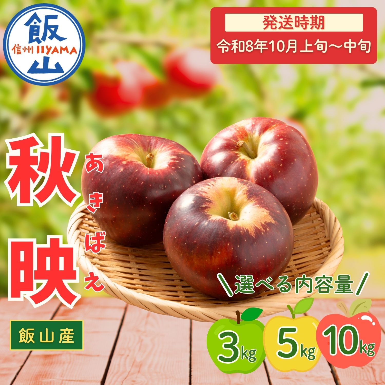【ふるさと納税】2026年 先行予約 ＼ 秋映 （あきばえ）／ 選べる 3kg / 5kg / 10kg 長野県産 ＜出荷開始：2026年10月上旬頃〜中旬頃＞【 りんご リンゴ 林檎 フルーツ 果物 信州 産地直送 新鮮 オススメ 美味しい贈答 ギフト 長野県 飯山市 】（At)