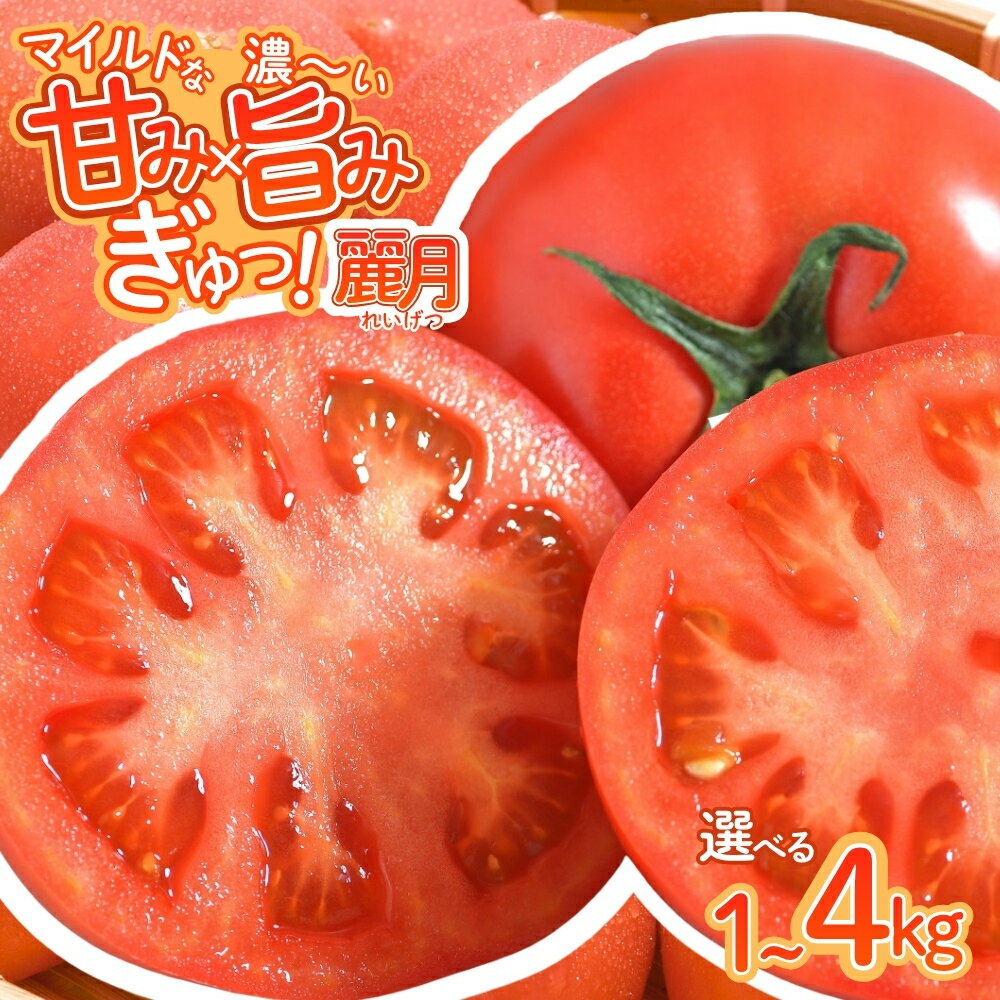 【ふるさと納税】トマト デリシャスファームのトマト (麗月) 【選べる容量】1kg 2kg 3kg 4kg 1キロ箱 2キロ箱 3キロ箱 4キロ箱 / とまと 野菜 産地直送 農家直送 れいげつ