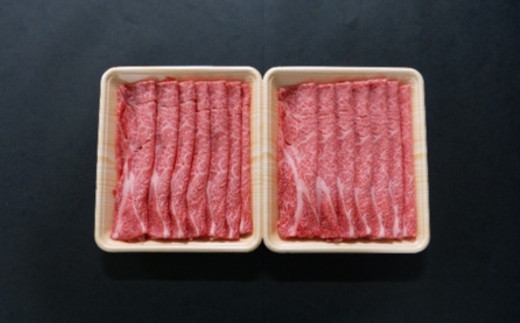 【６ヶ月定期便】A5等級飛騨牛すき焼き・しゃぶしゃぶ用600ｇロース又は肩ロース肉 2025/9/19～