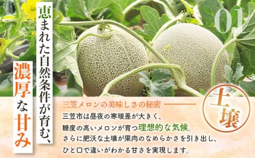 【SDGs】《2025年分受付中》大玉！とろける食感と甘い香り北海道三笠メロン3玉入（4.5kg～4.8kg）