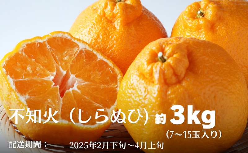 不知火（しらぬひ）約3kg 果物類 みかん 柑橘類 デコポン フルーツ